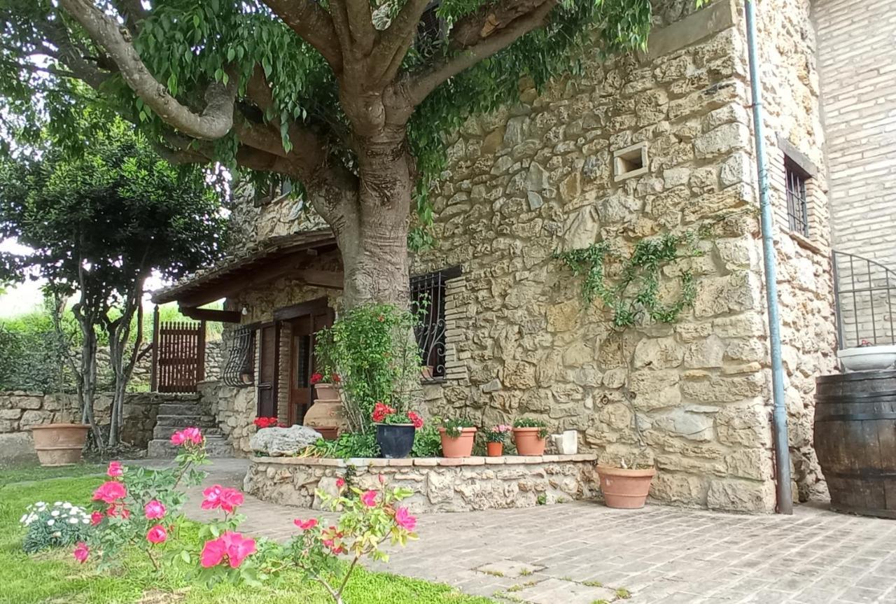 All'Ombra Di San Damiano Assisi Exteriér fotografie