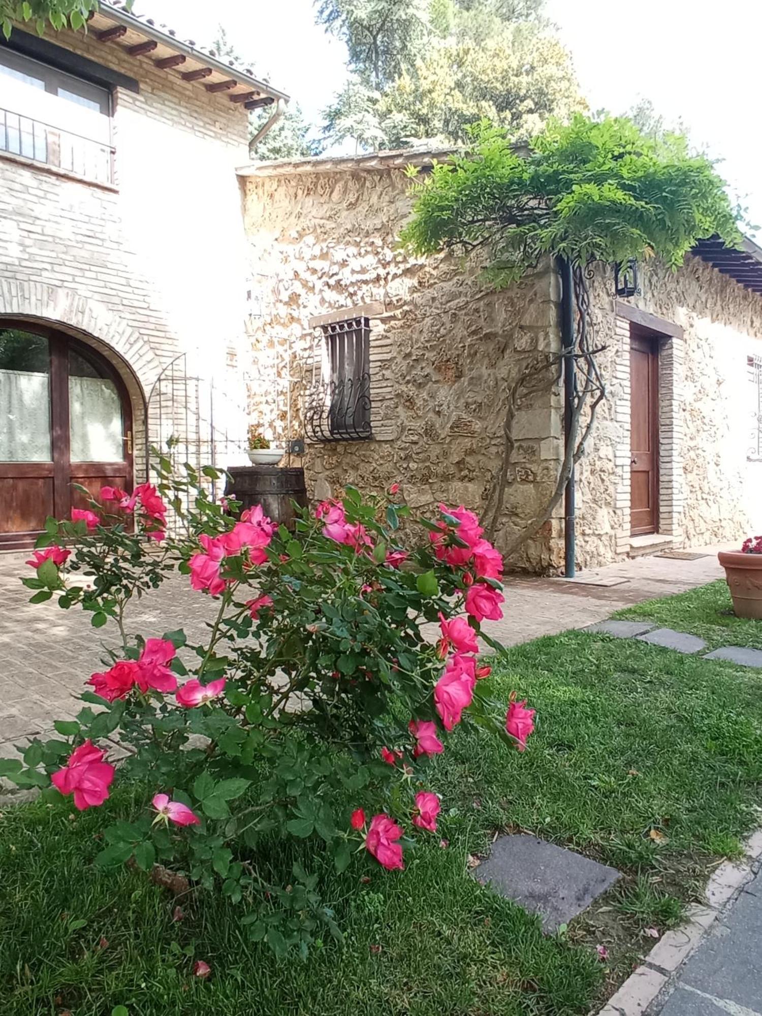 All'Ombra Di San Damiano Assisi Exteriér fotografie