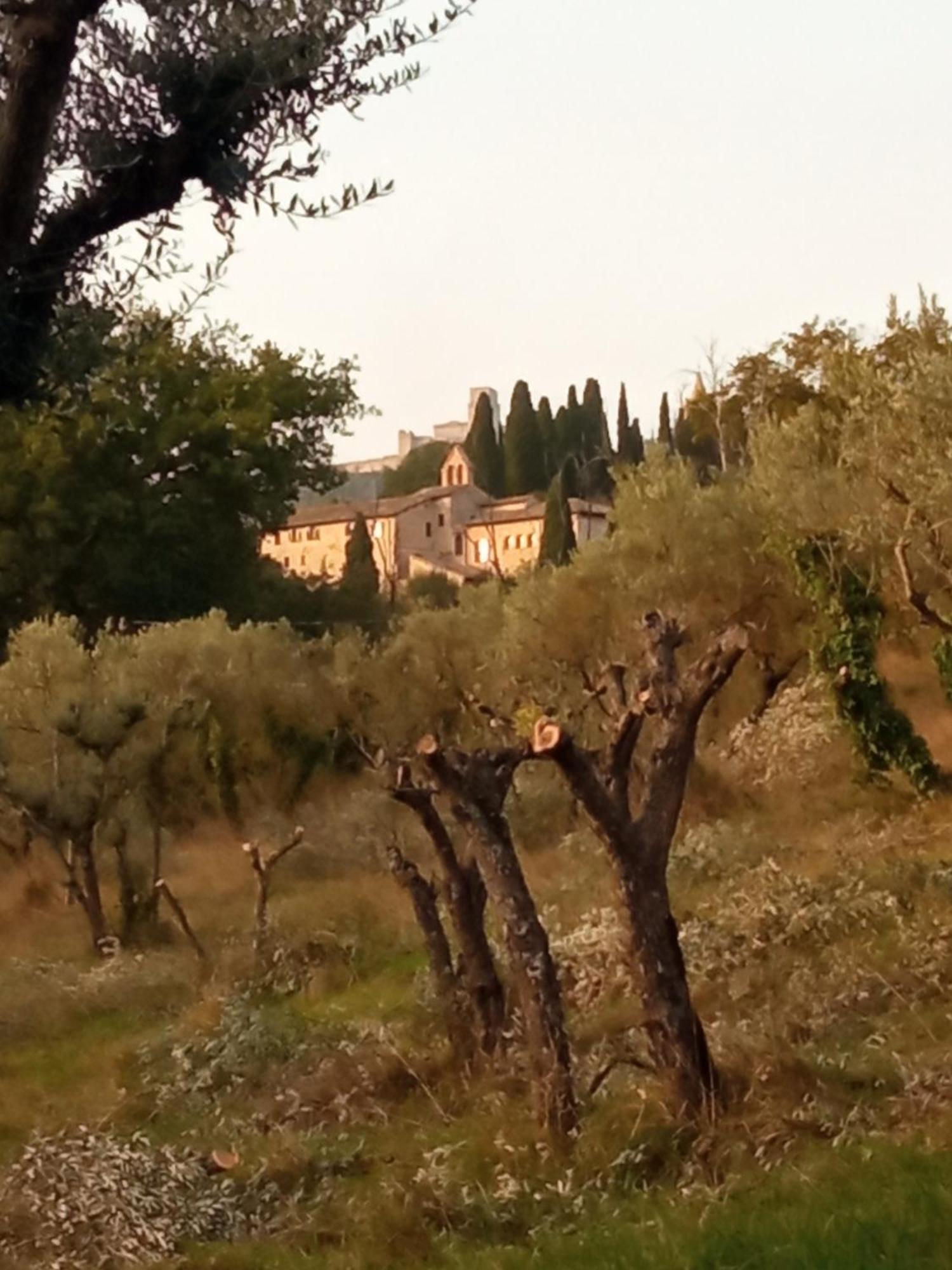All'Ombra Di San Damiano Assisi Exteriér fotografie