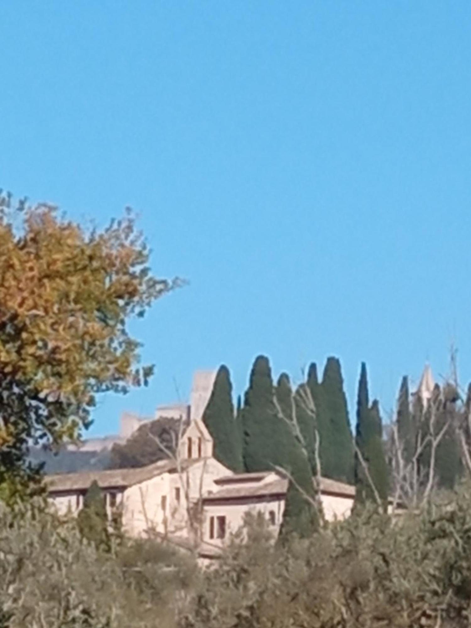 All'Ombra Di San Damiano Assisi Exteriér fotografie